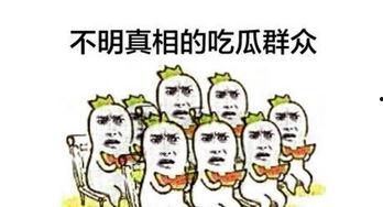 吃瓜群众娱乐小能手,揭秘娱乐圈幕后趣闻
