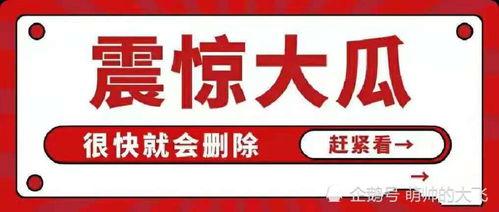 娱乐八卦吃瓜每日爆料,每日吃瓜爆料，明星幕后故事大公开